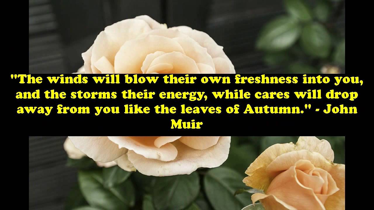 20 Famous quotes about fall weather