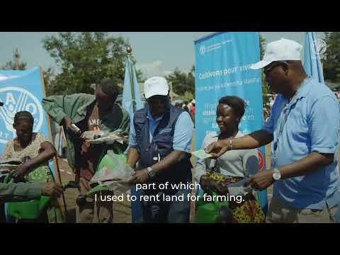 Emergency agriculture saves lives in the eastern Democratic Republic of the Congo