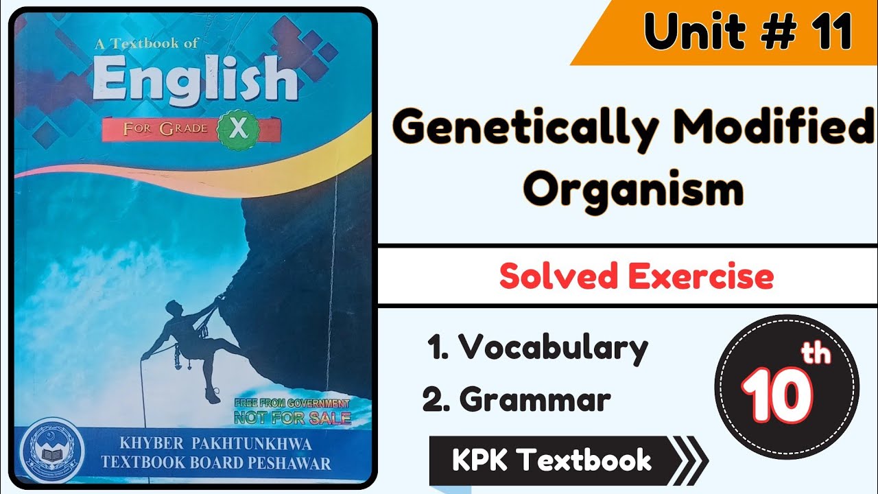 Genetically Modified Organisms | Exercise