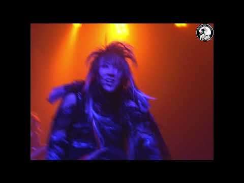 VIDOLL - DAINI JUN ZENKOKU NINGYOUGEKI -RUROU- FINAL ROUMAN KOKUHARU 2005.04.26 AT NIPPON SEINENKAN