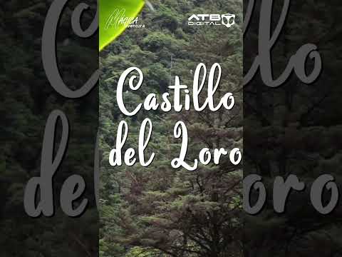 Yanacachi, un rincón de paz y naturaleza en los Yungas