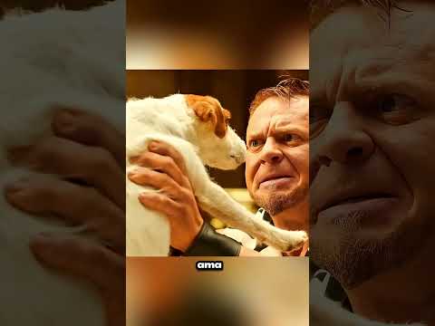 “Küçük Yavru Köpek İlk Kez Sokakta Hayatta Kaldı ve Şampiyon Oldu! 🐶💥” #shorts