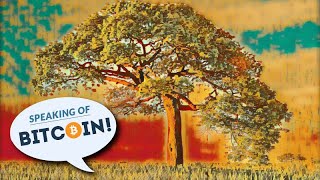 Privacy and Scale - Everything you need to know about Bitcoin&#39;s Taproot (SOB#455)