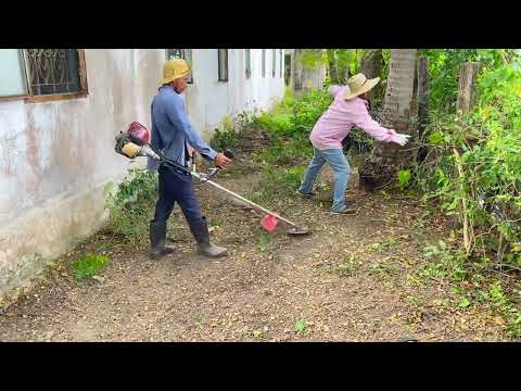 A Teacher Returns to Abandoned School and Leads an Incredible Cleanup Transformation!