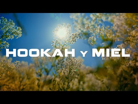 Filip Mota - Hookah Y Miel (Video Oficial)