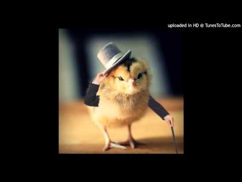 Today's Tango Is... El Pollito - Francisco Canaro 29-05-1931