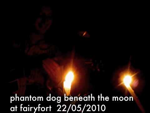 phantom dog beneath the moon