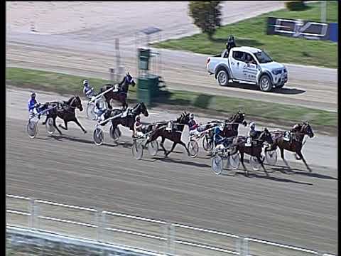 Trotto 12/05/2019 - 5ª corsa