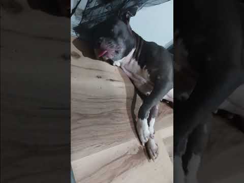 Play video on YouTube