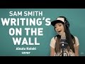 Sam Smith - Writing's on the wall [under cover ...