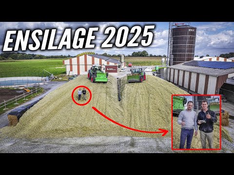 CORN SILAGE 2025