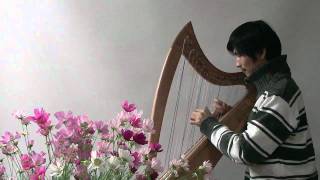 하프 연주 Cross Strung Harp:Lagrima/Adelita by Tarrega ハープ演奏 豎琴演奏 Hung-gon Kim Chromatische Harfe