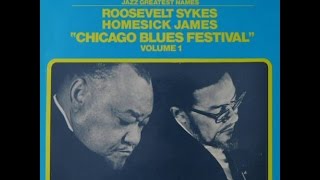 Roosevelt Sykes - Put Up Or Shut Up (+ Homesick James & The Aces, 1970)