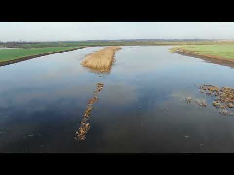 Madárlátta Érmellék - Érmellék