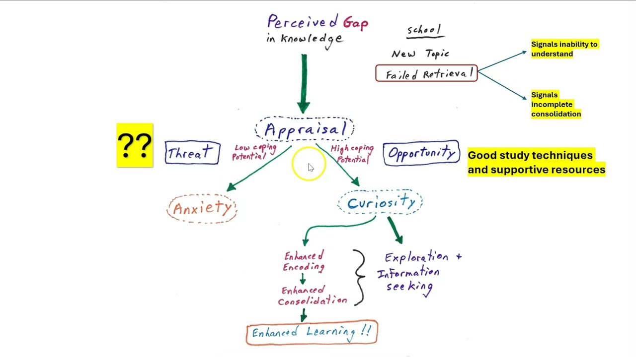 Curiosity Enhances Learning