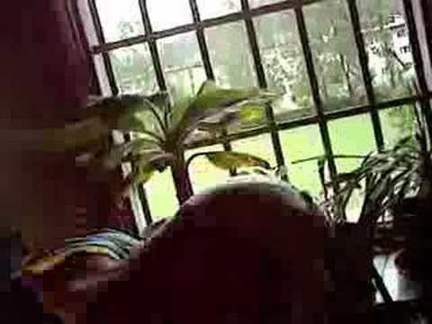 Lehnt euch mal zurück