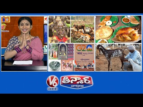 Vinayaka Idols-Cow Dung | Non Veg Tiffin's | Handloom Kerchief-G20 Summit | V6 Weekend Teenmaar Video