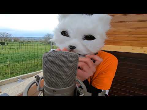 Machodeferia (gala asociación Benecane)  - Ángeles de 4 patas  (Prod LionRiddims)