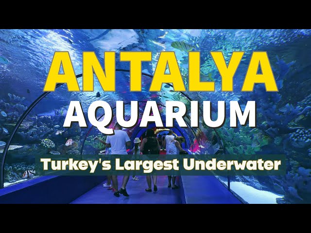 Antalya Aquarium & Kurşunlu Waterfall Tour 3 Antalya Aquarium & Kurşunlu Waterfall Tour - Tour Video