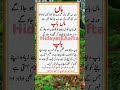 Maa Baap Ki Ahmiyat Maa Baap Maabaap Islamicbayan Quotes Urdupoetry HidayatEAafta Shorts