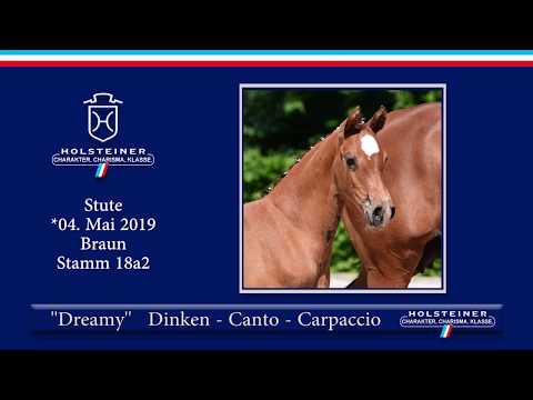 Holsteiner Elite-Fohlenauktion 2019 - Nr. 60 Dreamy v. Dinken-Canto