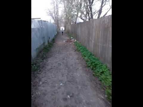 Mizeria din Piatra Neamt Comuna Bodesti De Sus,...