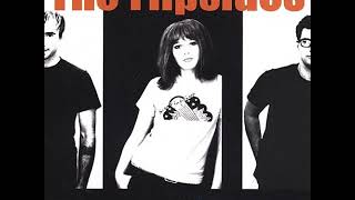 09 •  The Flipsides - Because I Can &amp; So Disgusted  (Demo Length Version)