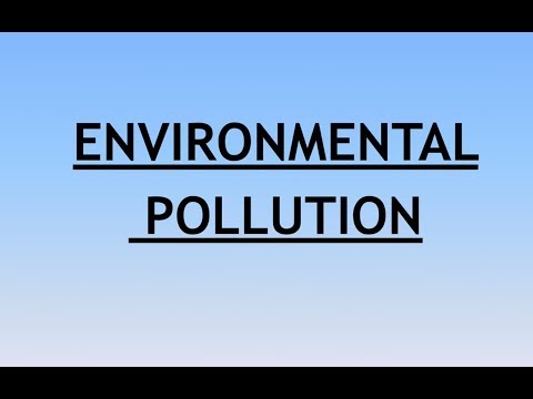 Environment and Ecology Lecture 6 - Environmental (Air ) pollution Video