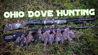 Last Minute Evening Dove Hunt || ft. NeverStopTheHunt