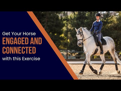 Trot-Walk-Trot: The Best Exercise for Balance & Connection