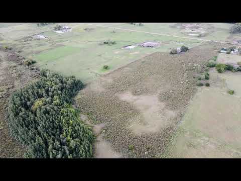 Alquiler Chacra 6Ha Logística 3km ciudad Trinidad Flores #inmobiliaria #realestate #uruguay #chacras