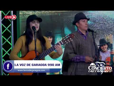 El Electricista - Abinael Amado y Su Grupo Do Mayor | Concierto Carranguero | Show Musical