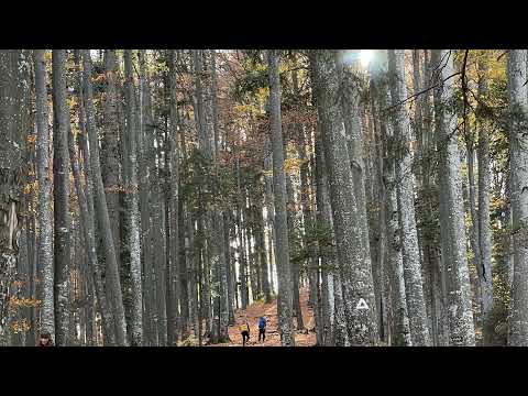 CS JUNIORII NECTAR vs POLI IASI