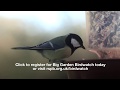RSPB Big Garden Birdwatch - YouTube