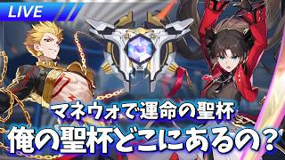 マネウォで聖杯を探して早10000000000000000000年【崩壊スターレイル / Honkai: Star Rail】