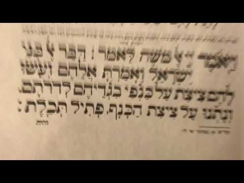 Tefilah 27 Vayomer of Shma - Prayer - Sharchris - תפילה 27 ק׳׳ש ויאמר – שחרית