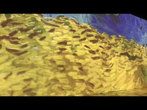 Immersive experience N18