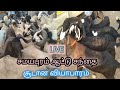LIVE Samayapuram Goat Market In Tamilnadu Namma Vivasayi நம்ம விவசாயம் வ�
