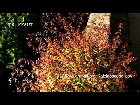 comment construire kaleidoscope