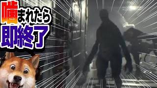 噛まれたら即終了 バイオハザードRE:4 / part418