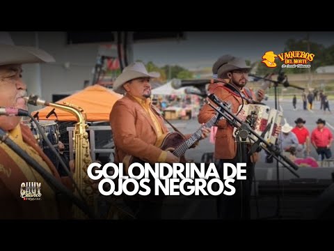 Golondrina de Ojos Negros (Atlanta 2023)