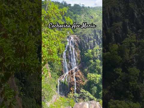 Cachoeira Ave Maria📍🌿💦