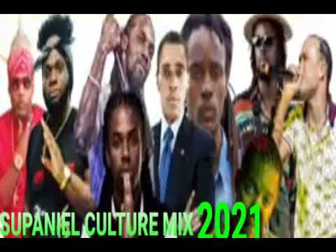 SUPANIEL CULTURE MIX 2021 (((█▬█ █ ▀█▀ subscribe)))
