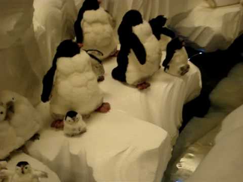 Siccome i vermi a piccoli bambini sono mostrati Come capire questo a parassiti di pappagallo