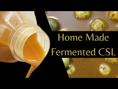 Home Made Fermented CSL. Monster Carp Home made Bait making. #carpfishing #carpbait
