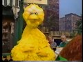 Sesame Street Snuffleupagus American Day Parade