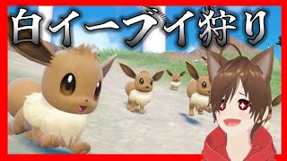 【イーブイ大量発生】白イーブイ狩りにいく【ポケモンSV】