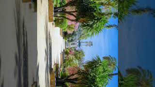 Download lagu Dil Mera Aise Tum Tod Ke Na Jao mp3 Download lagu Dil Mera Aise Tum Tod Ke Na Jao mp3