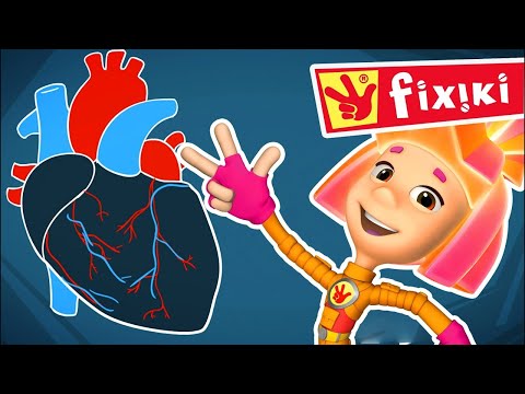 Fixiki în română - Nolik învață despre Inima ❤️