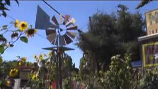 Sauntering Students and Shine a Light